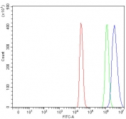 Flow cytometry testing of fixed and permeabilized human 293T cells with NVL antibody at 1ug/million cells (blocked with goat sera); Red=cells alone, Green=isotype control, Blue= NVL antibody.