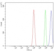 Flow cytometry testing of fixed and permeabilized human PC-3 cells with MYCBP antibody at 1ug/million cells (blocked with goat sera); Red=cells alone, Green=isotype control, Blue= MYCBP antibody.