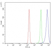 Flow cytometry testing of fixed and permeabilized human HeLa cells with MMS19 antibody at 1ug/million cells (blocked with goat sera); Red=cells alone, Green=isotype control, Blue= MMS19 antibody.