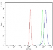 Flow cytometry testing of fixed and permeabilized human HeLa cells with NAT10 antibody at 1ug/million cells (blocked with goat sera); Red=cells alone, Green=isotype control, Blue= NAT10 antibody.