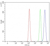 Flow cytometry testing of fixed and permeabilized human HEL cells with Paraspeckle component 1 antibody at 1ug/million cells (blocked with goat sera); Red=cells alone, Green=isotype control, Blue= Paraspeckle component 1 antibody.