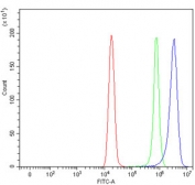 Flow cytometry testing of fixed and permeabilized human HeLa cells with Nucleoporin 155 antibody at 1ug/million cells (blocked with goat sera); Red=cells alone, Green=isotype control, Blue= Nucleoporin 155 antibody.