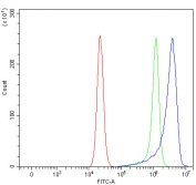 Flow cytometry testing of fixed and permeabilized human RT4 cells with OVGP1 antibody at 1ug/million cells (blocked with goat sera); Red=cells alone, Green=isotype control, Blue= OVGP1 antibody.