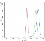 Flow cytometry testing of fixed and permeabilized human Caco-2 cells with MISP antibody at 1ug/million cells (blocked with goat sera); Red=cells alone, Green=isotype control, Blue= MISP antibody.