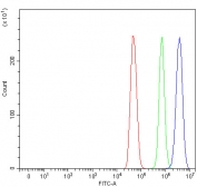 Flow cytometry testing of fixed and permeabilized human U-251 cells with NCBP2 antibody at 1ug/million cells (blocked with goat sera); Red=cells alone, Green=isotype control, Blue= NCBP2 antibody.