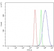Flow cytometry testing of fixed and permeabilized human U-251 cells with Modulator of apoptosis 1 antibody at 1ug/million cells (blocked with goat sera); Red=cells alone, Green=isotype control, Blue= Modulator of apoptosis 1 antibody.