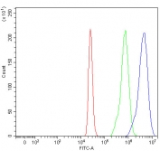 Flow cytometry testing of fixed and permeabilized human 293T cells with MECR antibody at 1ug/million cells (blocked with goat sera); Red=cells alone, Green=isotype control, Blue= MECR antibody.