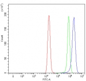 Flow cytometry testing of fixed and permeabilized human HeLa cells with NELF antibody at 1ug/million cells (blocked with goat sera); Red=cells alone, Green=isotype control, Blue= NELF antibody.