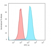 Flow cytometry testing of PFA-fixed human K562 cells with Fascin antibody (clone SPM133); Red=isotype control, Blue= Fascin antibody.