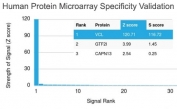 Analysis of HuProt(TM) microarray containing more than 19,000 full-length human proteins using TPSAB1 antibody (clone VCL/2573). These results demonstrate the foremost specificity of the VCL/2573 mAb. Z- and S- score: The Z-score represents the strength of a signal that an antibody (in combination with a fluorescently-tagged anti-IgG secondary Ab) produces when binding to a particular protein on the HuProt(TM) array. Z-scores are described in units of standard deviations (SD's) above the mean value of all signals generated on that array. If the targets on the HuProt(TM) are arranged in descending order of the Z-score, the S-score is the difference (also in units of SD's) between the Z-scores. The S-score therefore represents the relative target specificity of an Ab to its intended target.