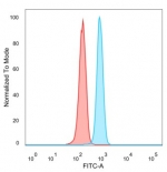Flow cytometry testing of PFA-fixed human HeLa cells with ZNF488 antibody (clone PCRP-ZNF488-2D8) followed by goat anti-mouse IgG-CF488 (blue); Red = unstained cells.