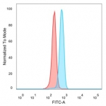 Flow cytometry testing of PFA-fixed human HeLa cells with ZFP90 antibody (clone PCRP-ZFP90-1C5) followed by goat anti-mouse IgG-CF488 (blue), Red = unstained cells.