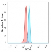 Flow cytometry testing of PFA-fixed human HeLa cells with Zinc finger protein 232 antibody (clone PCRP-ZNF232-1D5) followed by goat anti-mouse IgG-CF488 (blue), Red = unstained cells.