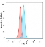 Flow cytometry testing of PFA-fixed human MCF-7 cells with Lactotransferrin antibody (clone LTF/4074) followed by goat anti-mouse IgG-CF488 (blue); isotype control (red).