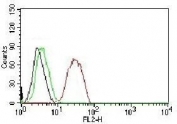 FACS testing of human MCF-7 cells:  Black=cells alone; Green=isotype control; Red= Estrogen Receptor beta antibody PE conjugate.