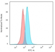 Flow cytometry testing of PFA-fixed human K562 cells with Bcl10 antibody (clone MUBC10); Red=isotype control, Blue= Bcl10 antibody.