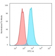 Flow cytometry testing of human K562 cells with RAD51 antibody (clone RALPA-1); Red=isotype control, Blue= RAD51 antibody.