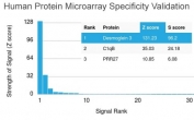 Analysis of HuProt(TM) microarray containing more than 19,000 full-length human proteins using Desmoglein 3 antibody (clone DSG3/2838). These results demonstrate the foremost specificity of the DSG3/2838 mAb. Z- and S- score: The Z-score represents the strength of a signal that an antibody (in combination with a fluorescently-tagged anti-IgG secondary Ab) produces when binding to a particular protein on the HuProt(TM) array. Z-scores are described in units of standard deviations (SD's) above the mean value of all signals generated on that array. If the targets on the HuProt(TM) are arranged in descending order of the Z-score, the S-score is the difference (also in units of SD's) between the Z-scores. The S-score therefore represents the relative target specificity of an Ab to its intended target.
