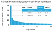Analysis of HuProt(TM) microarray containing more than 19,000 full-length human proteins using Desmoglein 3 antibody (clone DSG3/2839). These results demonstrate the foremost specificity of the DSG3/2839 mAb. Z- and S- score: The Z-score represents the strength of a signal that an antibody (in combination with a fluorescently-tagged anti-IgG secondary Ab) produces when binding to a particular protein on the HuProt(TM) array. Z-scores are described in units of standard deviations (SD's) above the mean value of all signals generated on that array. If the targets on the HuProt(TM) are arranged in descending order of the Z-score, the S-score is the difference (also in units of SD's) between the Z-scores. The S-score therefore represents the relative target specificity of an Ab to its intended target.