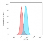 Flow cytometry testing of permeabilized human K562 cells with recombinant c-Myc antibody (clone MYC2895R); Red=isotype control, Blue= recombinant c-Myc antibody.