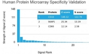 Analysis of HuProt(TM) microarray containing more than 19,000 full-length human proteins using CD10 antibody. These results demonstrate the foremost specificity of the MME/4232 mAb. Z- and S- score: The Z-score represents the strength of a signal that an antibody (in combination with a fluorescently-tagged anti-IgG secondary Ab) produces when binding to a particular protein on the HuProt(TM) array. Z-scores are described in units of standard deviations (SD's) above the mean value of all signals generated on that array. If the targets on the HuProt(TM) are arranged in descending order of the Z-score, the S-score is the difference (also in units of SD's) between the Z-scores. The S-score therefore represents the relative target specificity of an Ab to its intended target.