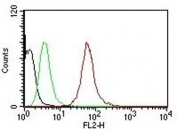 Flow Cytometric analysis of human Pan-Cytokeratins on HeLa cells. Black: cells alone; Green: Isotype Control; Red: PE-labeled Pan-Cytokeratin Monoclonal antibody (clone SPM115 + SPM116).