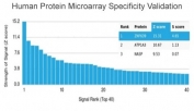 Analysis of HuProt(TM) microarray containing more than 19,000 full-length human proteins using ZNF639 antibody (clone PCRP-ZNF639-2B2). These results demonstrate the foremost specificity of the PCRP-ZNF639-2B2 mAb. Z- and S- score: The Z-score represents the strength of a signal that an antibody (in combination with a fluorescently-tagged anti-IgG secondary Ab) produces when binding to a particular protein on the HuProt(TM) array. Z-scores are described in units of standard deviations (SD's) above the mean value of all signals generated on that array. If the targets on the HuProt(TM) are arranged in descending order of the Z-score, the S-score is the difference (also in units of SD's) between the Z-scores. The S-score therefore represents the relative target specificity of an Ab to its intended target.