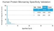 Analysis of HuProt(TM) microarray containing more than 19,000 full-length human proteins using Lactoferrin antibody (clone LTF/4079). These results demonstrate the foremost specificity of the LTF/4079 mAb. Z- and S- score: The Z-score represents the strength of a signal that an antibody (in combination with a fluorescently-tagged anti-IgG secondary Ab) produces when binding to a particular protein on the HuProt(TM) array. Z-scores are described in units of standard deviations (SD's) above the mean value of all signals generated on that array. If the targets on the HuProt(TM) are arranged in descending order of the Z-score, the S-score is the difference (also in units of SD's) between the Z-scores. The S-score therefore represents the relative target specificity of an Ab to its intended target.