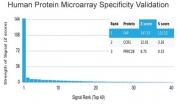 Analysis of HuProt(TM) microarray containing more than 19,000 full-length human proteins using Fibroblast Activation Protein Alpha antibody (clone FAP/4853). These results demonstrate the foremost specificity of the FAP/4853 mAb. Z- and S- score: The Z-score represents the strength of a signal that an antibody (in combination with a fluorescently-tagged anti-IgG secondary Ab) produces when binding to a particular protein on the HuProt(TM) array. Z-scores are described in units of standard deviations (SD's) above the mean value of all signals generated on that array. If the targets on the HuProt(TM) are arranged in descending order of the Z-score, the S-score is the difference (also in units of SD's) between the Z-scores. The S-score therefore represents the relative target specificity of an Ab to its intended target.