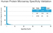Analysis of HuProt(TM) microarray containing more than 19,000 full-length human proteins using FGF-23 antibody (clone FGF23/4171). These results demonstrate the foremost specificity of the FGF23/4171 mAb. Z- and S- score: The Z-score represents the strength of a signal that an antibody (in combination with a fluorescently-tagged anti-IgG secondary Ab) produces when binding to a particular protein on the HuProt(TM) array. Z-scores are described in units of standard deviations (SD's) above the mean value of all signals generated on that array. If the targets on the HuProt(TM) are arranged in descending order of the Z-score, the S-score is the difference (also in units of SD's) between the Z-scores. The S-score therefore represents the relative target specificity of an Ab to its intended target.