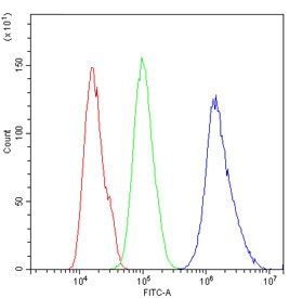Flow cytometry testing of human U-2 OS cells with Cdk2 antibody at 1ug/million cells (blocked with goat sera); Red=cells alone, Green=isotype control, Blue= Cdk2 antibody.