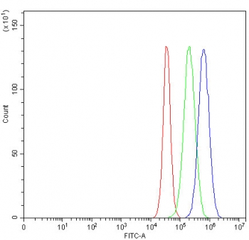 Flow cytometry testing of human U-87 MG cells with DDB2 antibody at 1ug/million cells (blocked with goat sera); Red=cells alone, Green=isotype control, Blue= DDB2 antibody.