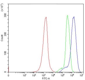 Flow cytometry testing of human Jurkat cells with IRE2 antibody at 1ug/million cells (blocked with goat sera); Red=cells alone, Green=isotype control, Blue= IRE2 antibody.