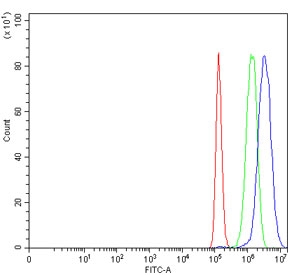 Flow cytometry testing of human PC-3 cells with Growth factor receptor bound protein 2 antibody at 1ug/million cells (blocked with goat sera); Red=cells alone, Green=isotype control, Blue= Growth factor receptor bound protein 2 antibody.