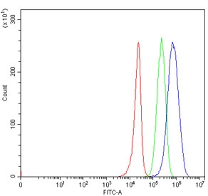 Flow cytometry testing of human 293T cells with TRIT1 antibody at 1ug/million cells (blocked with goat sera); Red=cells alone, Green=isotype control, Blue= TRIT1 antibody.
