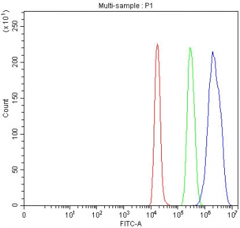 Flow cytometry testing of rat C6 cells with SMARCB1 antibody at 1ug/million cells (blocked with goat sera); Red=cells alone, Green=isotype control, Blue= SMARCB1 antibody.