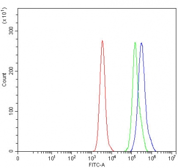 Flow cytometry testing of human Daudi cells with RNMT antibody at 1ug/million cells (blocked with goat sera); Red=cells alone, Green=isotype control, Blue= RNMT antibody.