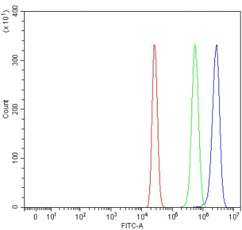 Flow cytometry testing of human HepG2 cells with RIOK3 antibody at 1ug/million cells (blocked with goat sera); Red=cells alone, Green=isotype control, Blue= RIOK3 antibody.