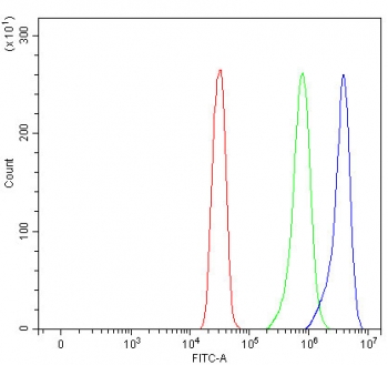 Flow cytometry testing of fixed and permeabilized human SiHa cells with PBLD antibody at 1ug/million cells (blocked with goat sera); Red=cells alone, Green=isotype control, Blue= PBLD antibody.