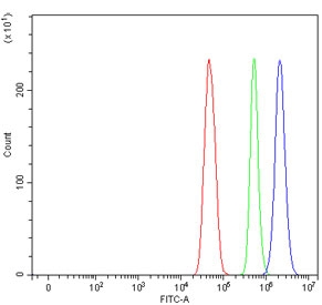 Flow cytometry testing of fixed and permeabilized human U-251 cells with MED17 antibody at 1ug/million cells (blocked with goat sera); Red=cells alone, Green=isotype control, Blue= MED17 antibody.