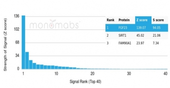 Analysis of a HuProt(TM) microarray containing more than 19,000 full-length human proteins using FGF23 antibody (clone FGF23/4580). Z- and S- Score: The Z-score represents the strength of a signal that a monoclonal antibody (in combination with a fluorescently-tagged anti-IgG secondary antibody) produces when binding to a particular protein on the HuProt(TM) array. Z-scores are described in units of standard deviations (SD's) above the mean value of all signals generated on that array. If targets on HuProt(TM) are arranged in descending order of the Z-score, the S-score is the difference (also in units of SD's) between the Z-score. S-score therefore represents the relative target specificity of a mAb to its intended target. A mAb is considered to specific to its intended target, if the mAb has an S-score of at least 2.5. For example, if a mAb binds to protein X with a Z-score of 43 and to protein Y with a Z-score of 14, then the S-score for the binding of that mAb to protein X is equal to 29.