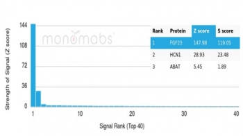 Analysis of a HuProt(TM) microarray containing more than 19,000 full-length human proteins using FGF23 antibody (clone FGF23/6406). Z- and S- Score: The Z-score represents the strength of a signal that a monoclonal antibody (in combination with a fluorescently-tagged anti-IgG secondary antibody) produces when binding to a particular protein on the HuProt(TM) array. Z-scores are described in units of standard deviations (SD's) above the mean value of all signals generated on that array. If targets on HuProt(TM) are arranged in descending order of the Z-score, the S-score is the difference (also in units of SD's) between the Z-score. S-score therefore represents the relative target specificity of a mAb to its intended target. A mAb is considered to specific to its intended target, if the mAb has an S-score of at least 2.5. For example, if a mAb binds to protein X with a Z-score of 43 and to protein Y with a Z-score of 14, then the S-score for the binding of that mAb to protein X is equal to 29.