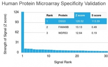 Analysis of HuProt(TM) microarray containing more than 19,000 full-length human proteins using Desmoglein 3 antibody (clone DSG3/2796). These results demonstrate the foremost specificity of the DSG3/2796 mAb. Z- and S- score: The Z-score represents the strength of a signal that an antibody (in combination with a fluorescently-tagged anti-IgG secondary Ab) produces when binding to a particular protein on the HuProt(TM) array. Z-scores are described in units of standard deviations (SD's) above the mean value of all signals generated on that array. If the targets on the HuProt(TM) are arranged in descending order of the Z-score, the S-score is the difference (also in units of SD's) between the Z-scores. The S-score therefore represents the relative target specificity of an Ab to its intended target.